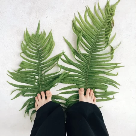 Someone wearing black trousers standing with their bare feet on two palm leaves.